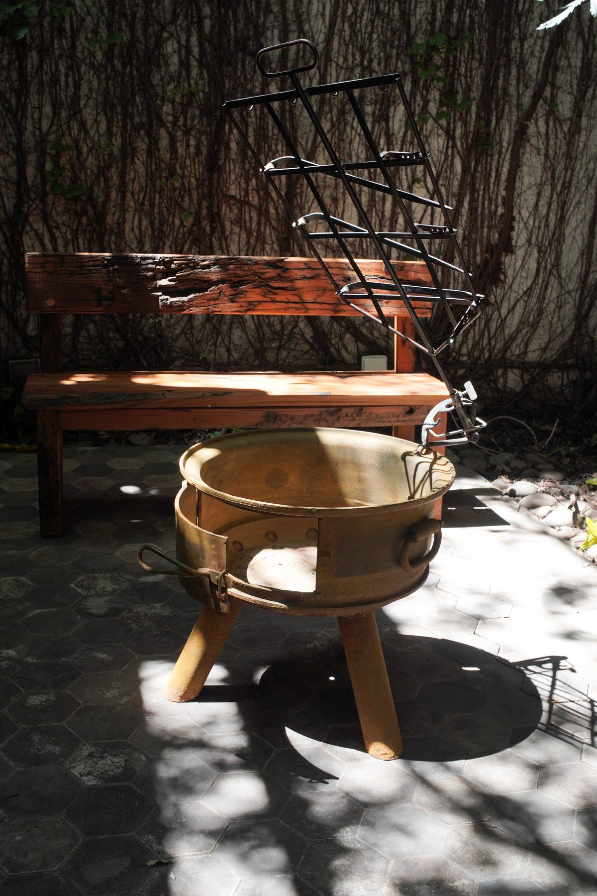 Fogonero en patio